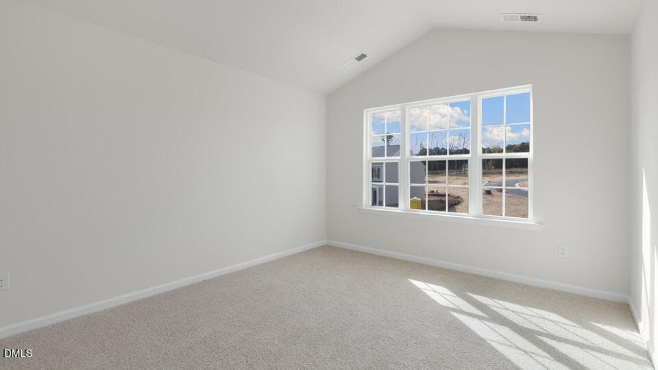 PRIMARY BEDROOM - 253 Otter Lodge Street, Sanford, NC 27330, Sanford