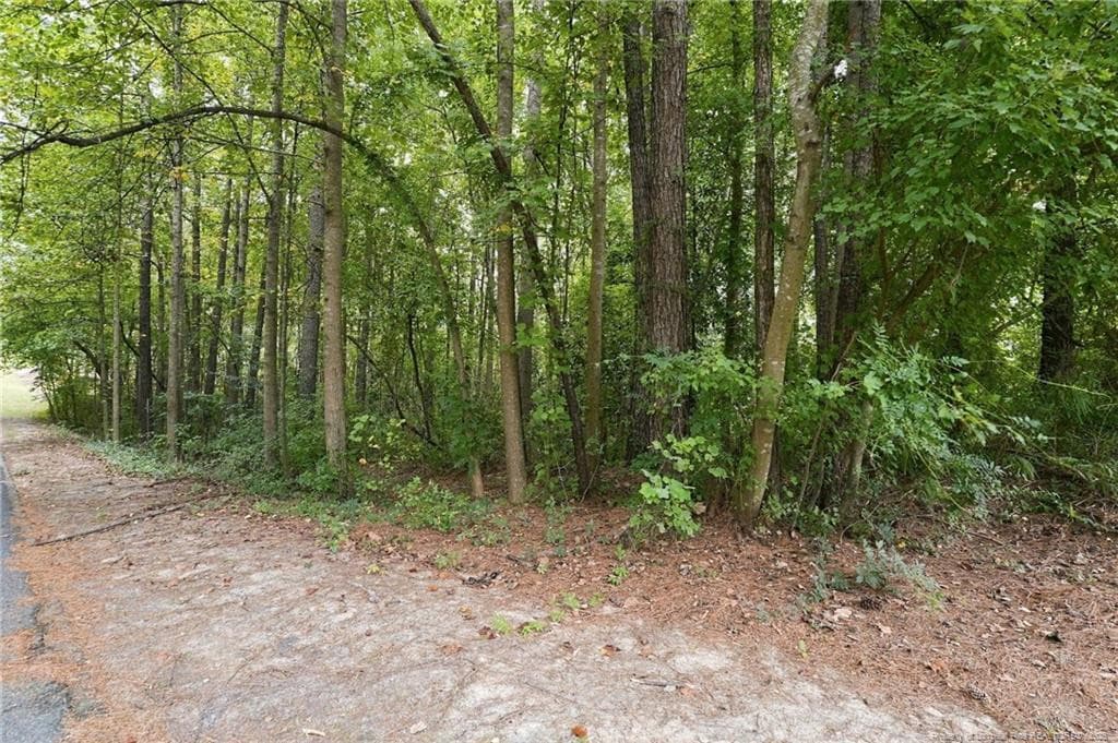 Photo 3 - 134 Bellhaven Drive, Carthage, NC 28327