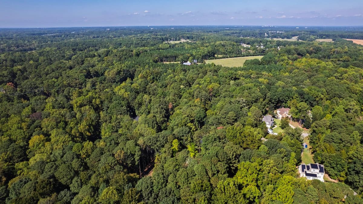 Joseph (3).jpg - 4720 Joseph Michael Court, Raleigh, NC 27606, Raleigh