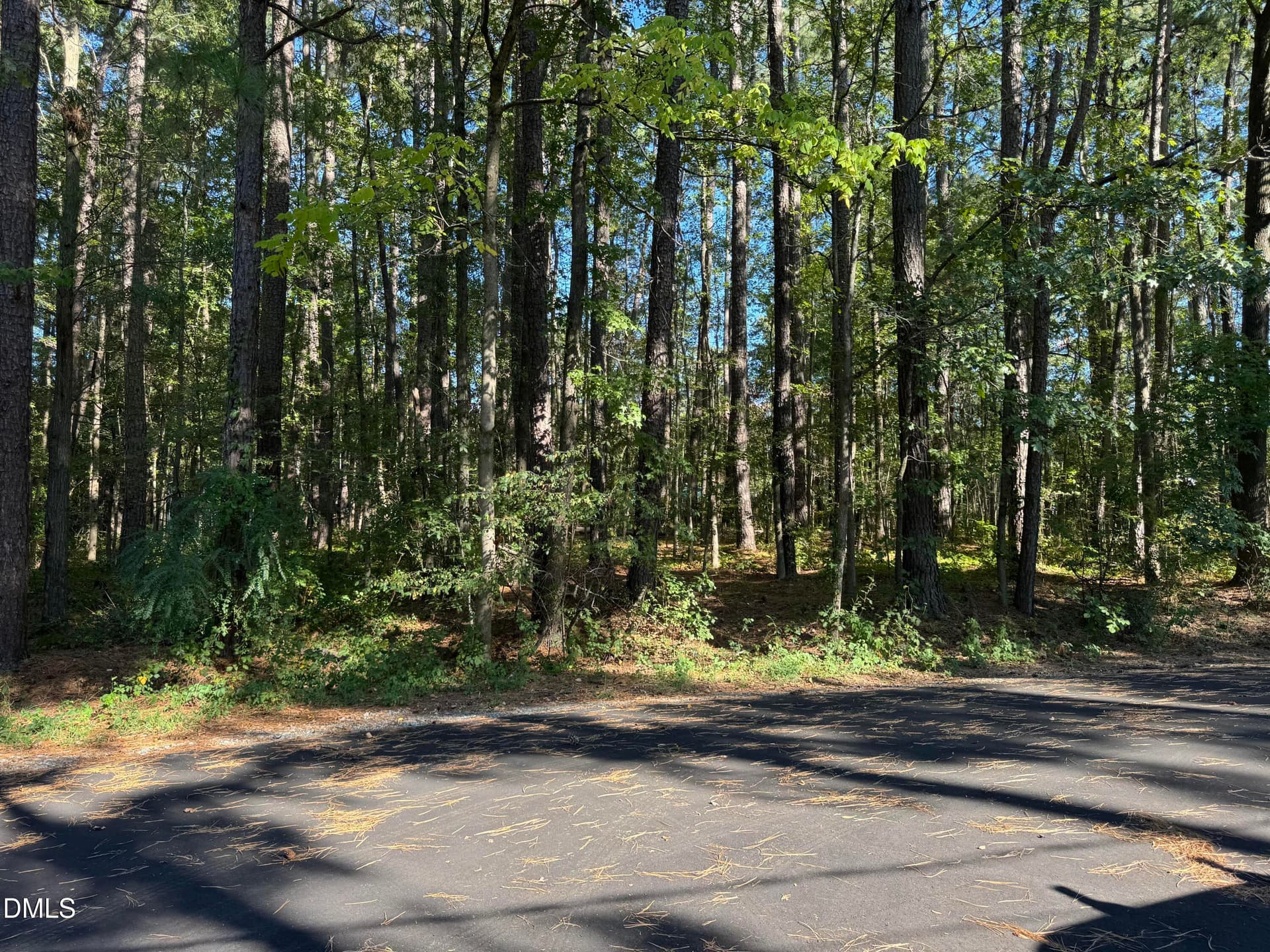 Leyburn Place - Flat Topography Wooded v - 2712 Leyburn Place, Durham, NC 27705