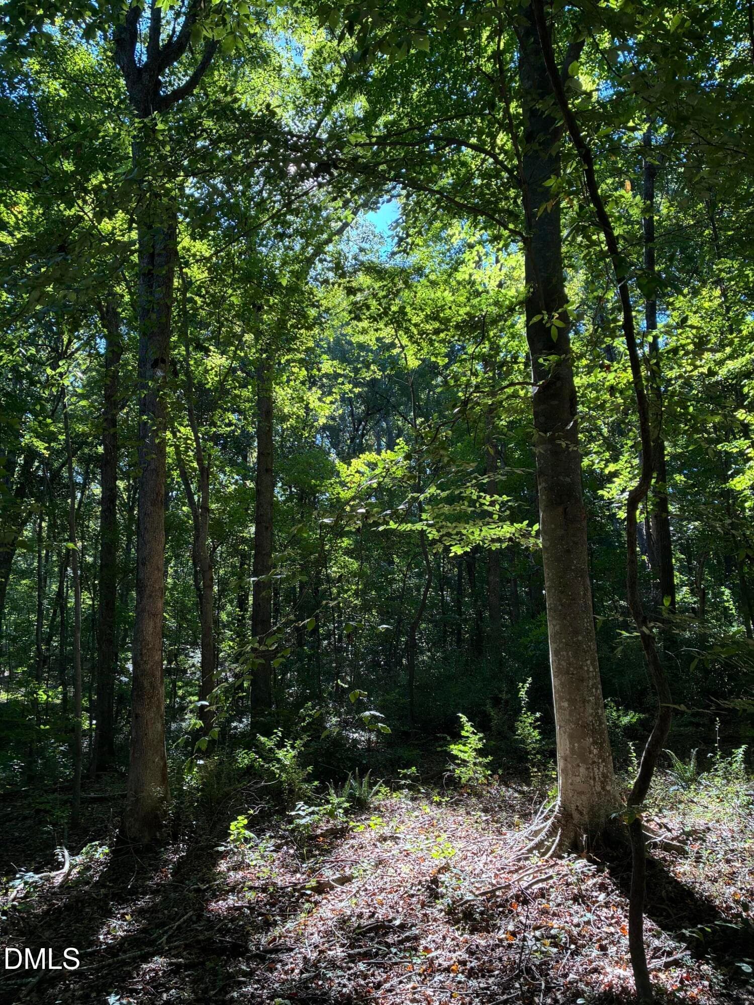 IMG_5425 - 910 Nc-902, Pittsboro, NC 27312