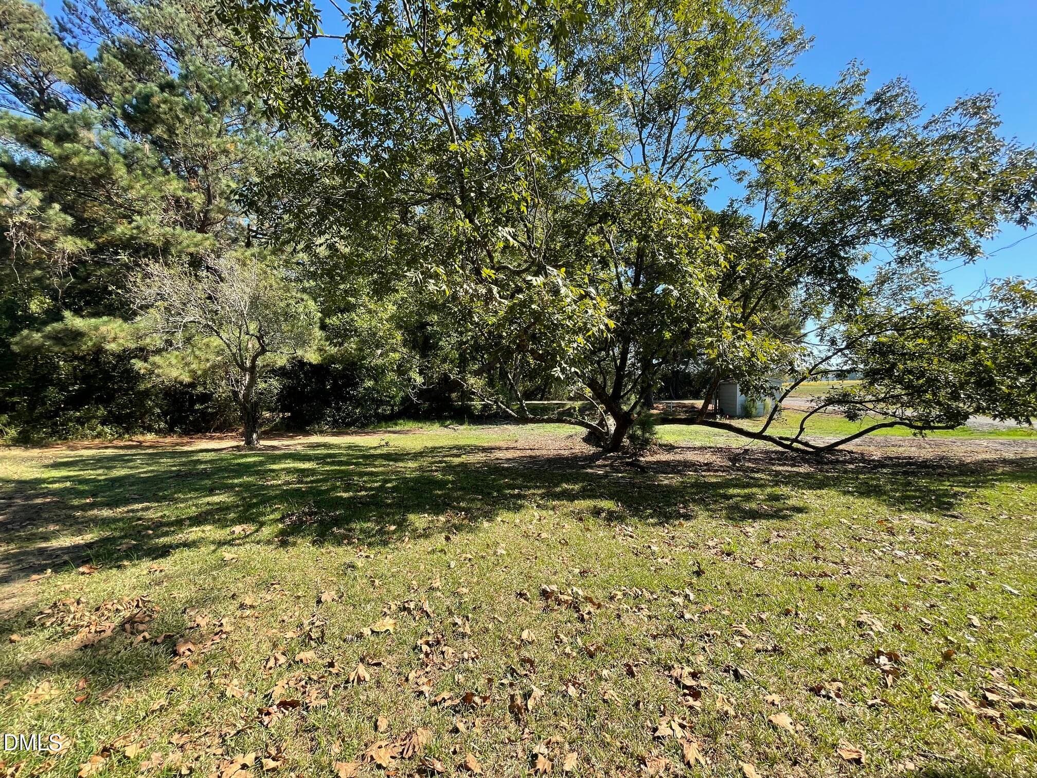 IMG_9454 - 1777 Carson Gregory Road, Angier, NC 27501, Angier