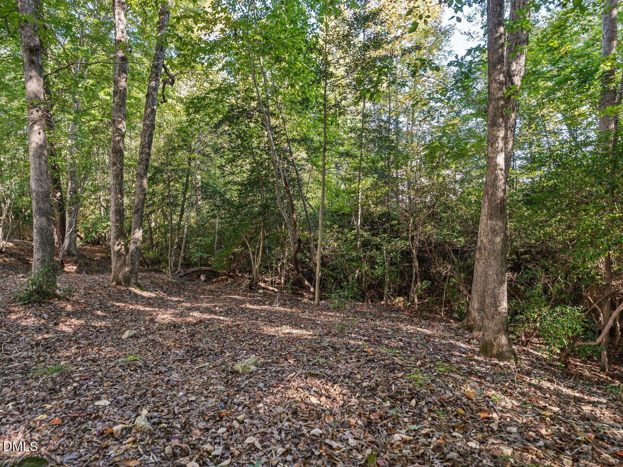 Beautiful trees in backyard - 64 Creststone Court, Clayton, NC 27527, Clayton