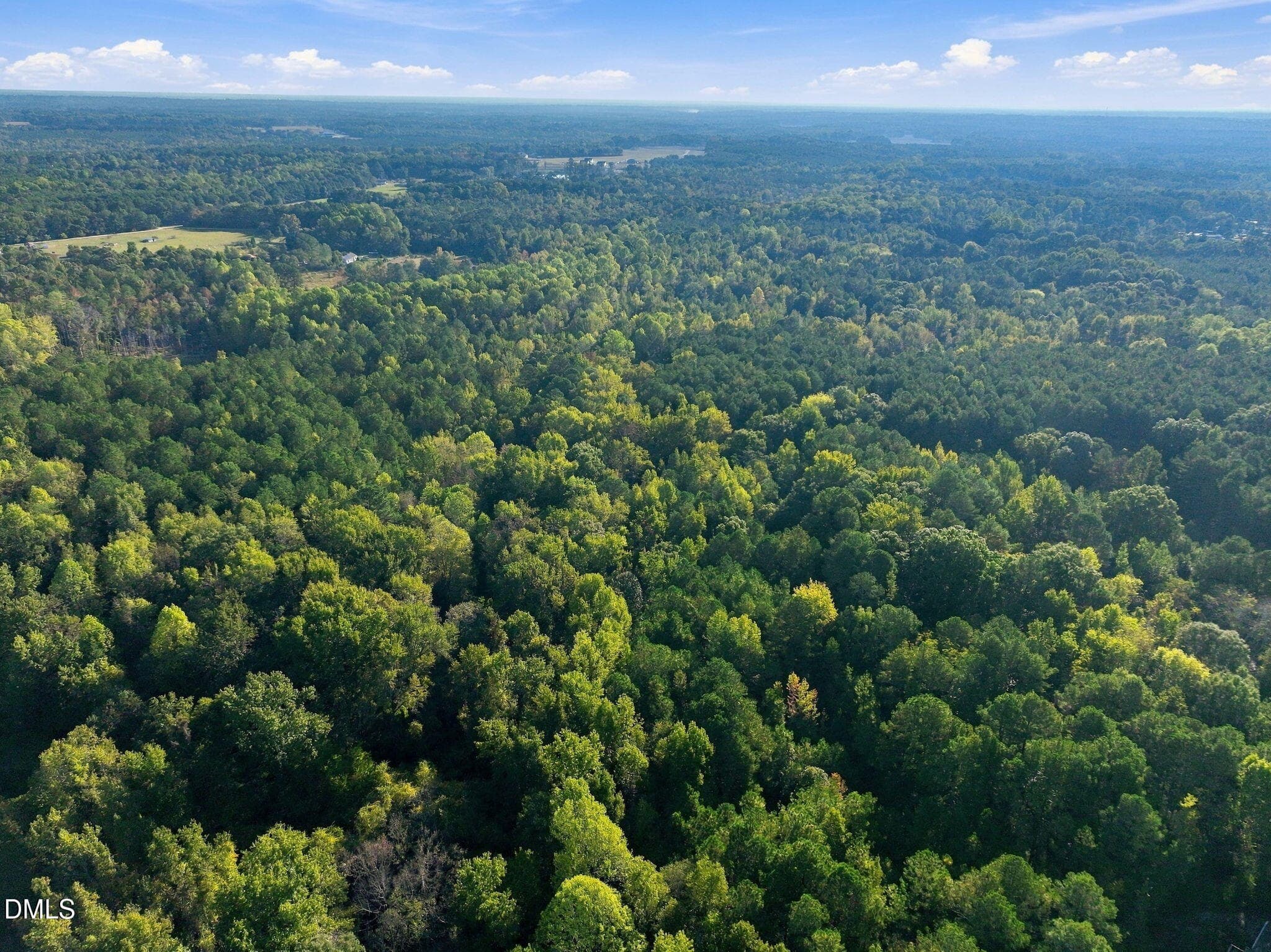 14-web-or-mls-DJI_0437 - 300 Mount Olive Church Road, Lillington, NC 27546