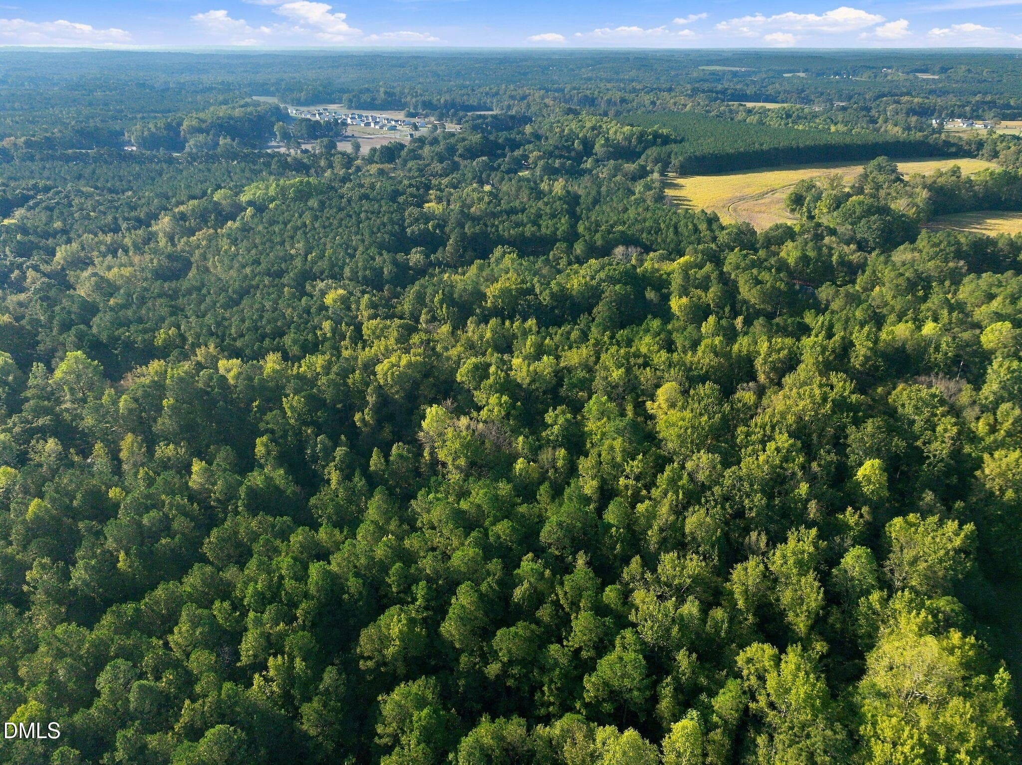 11-web-or-mls-DJI_0434 - 300 Mount Olive Church Road, Lillington, NC 27546