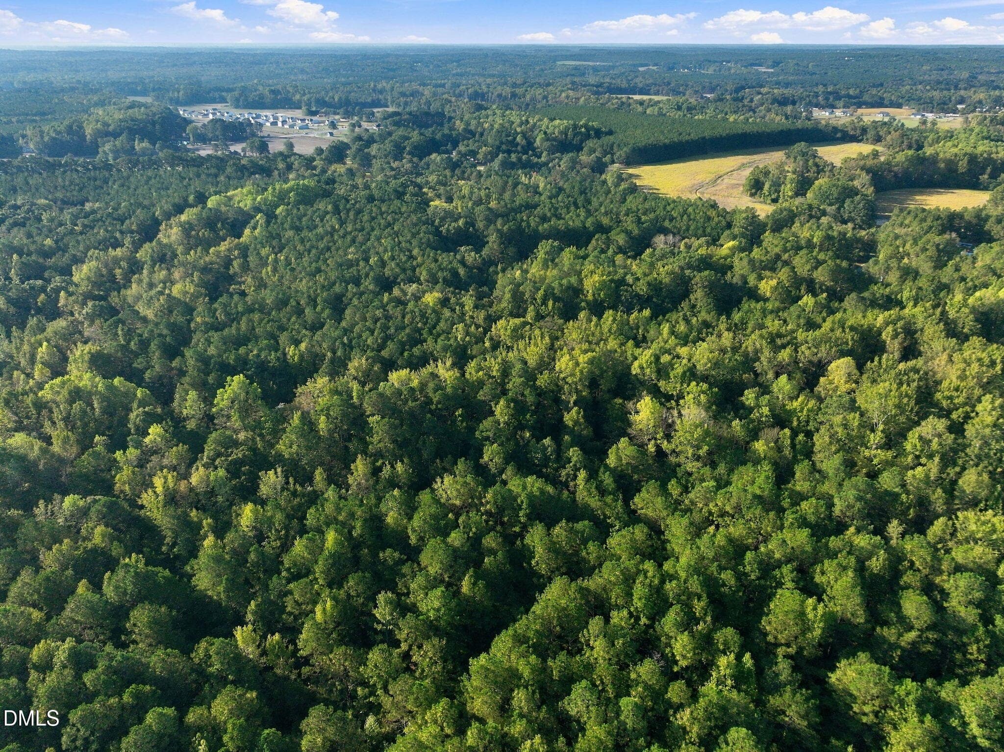10-web-or-mls-DJI_0433 - 300 Mount Olive Church Road, Lillington, NC 27546