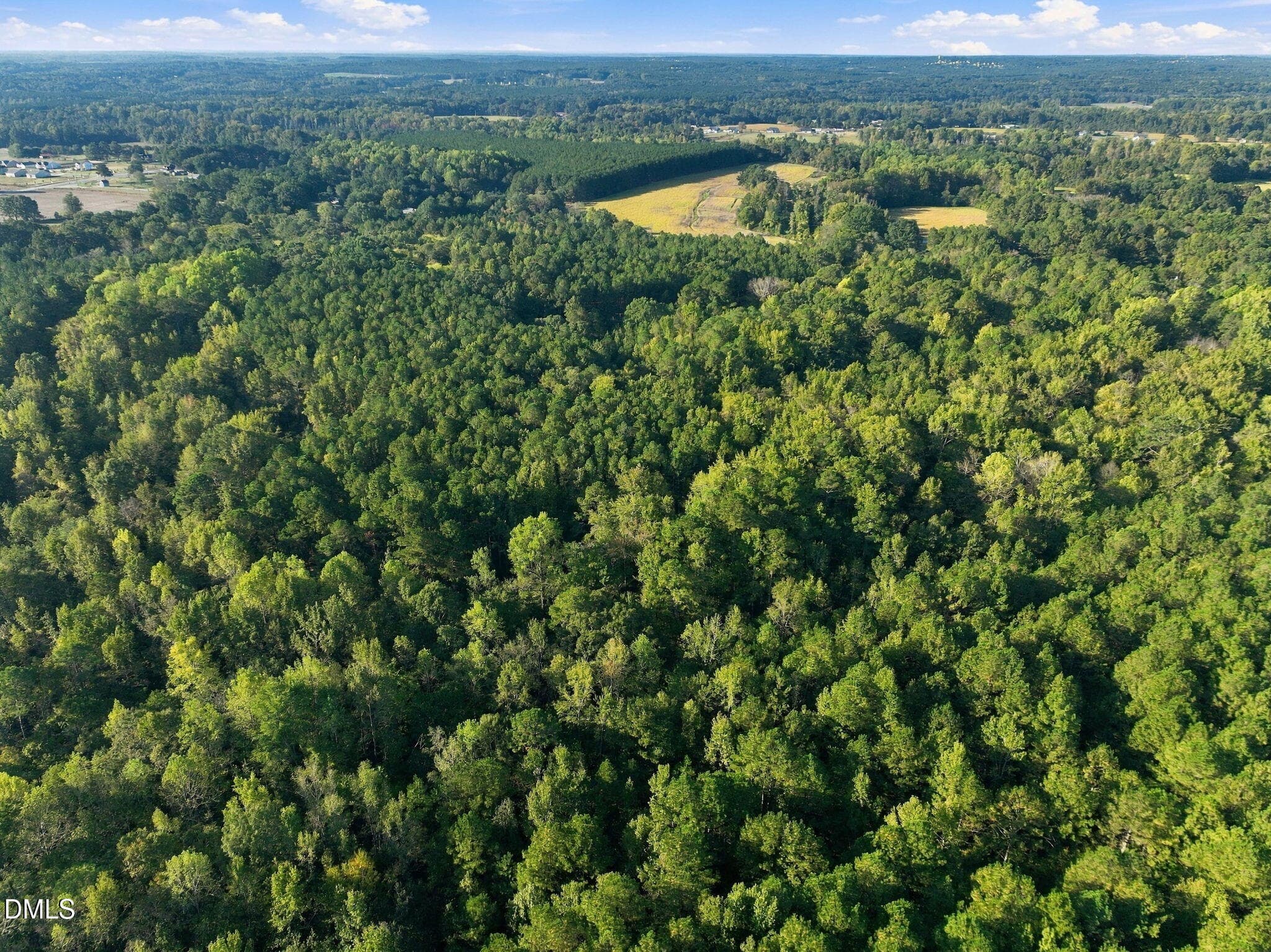 8-web-or-mls-DJI_0431 - 300 Mount Olive Church Road, Lillington, NC 27546