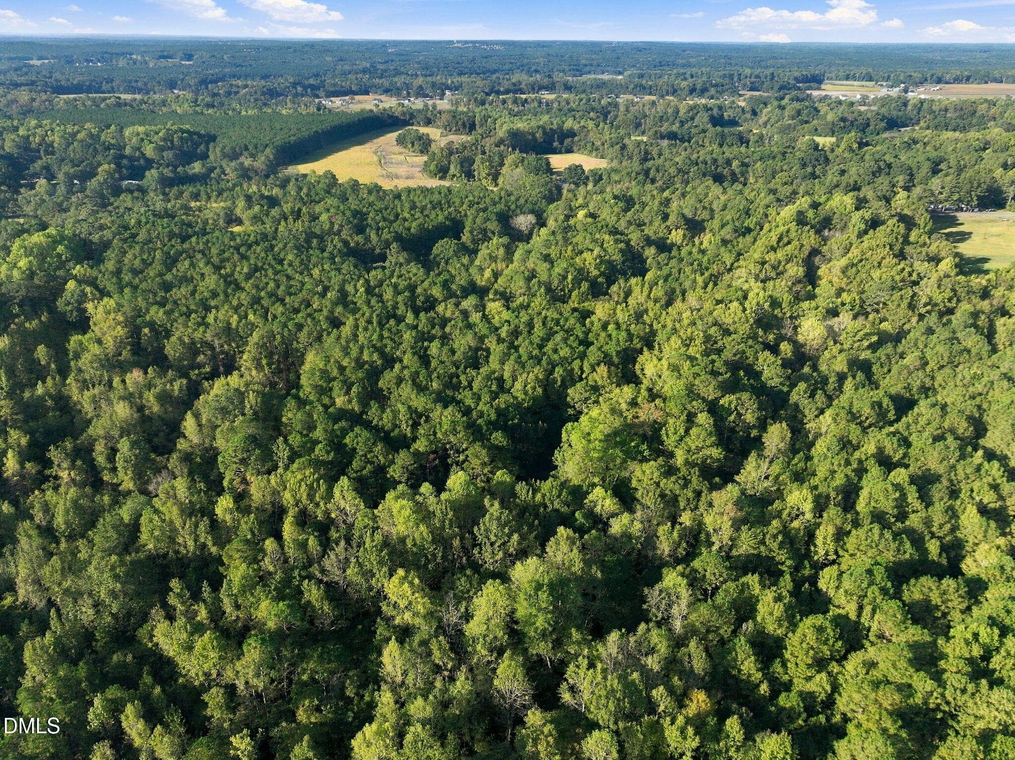 7-web-or-mls-DJI_0430 - 300 Mount Olive Church Road, Lillington, NC 27546
