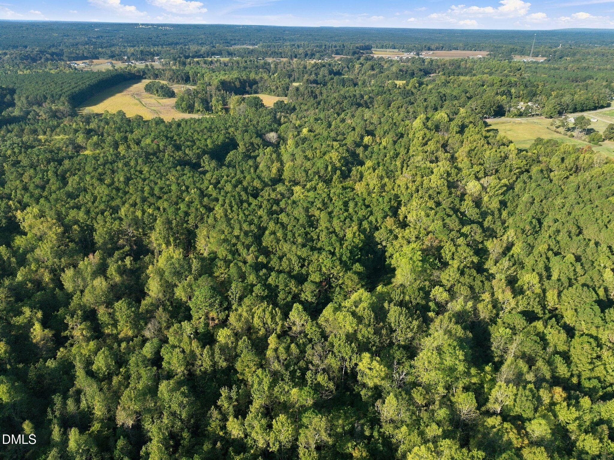 6-web-or-mls-DJI_0429 - 300 Mount Olive Church Road, Lillington, NC 27546