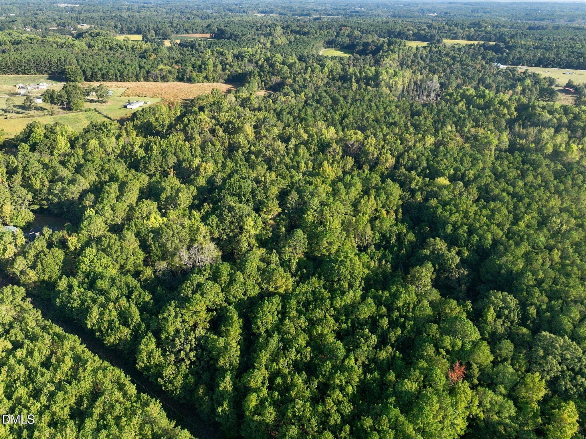 2-web-or-mls-DJI_0425 - 300 Mount Olive Church Road, Lillington, NC 27546