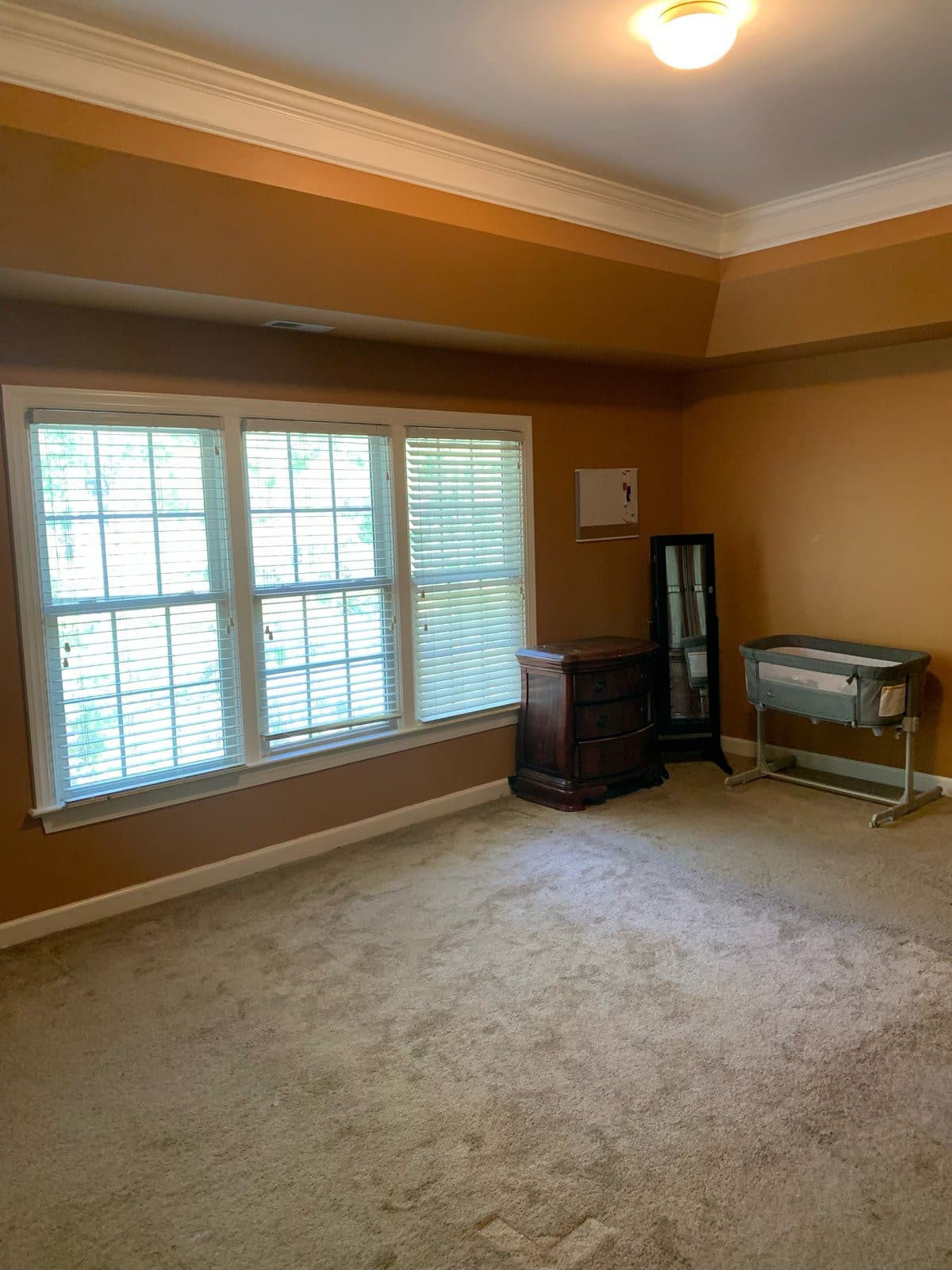 Primary Suite - 704 Rushing Falls Place, Fuquay Varina, NC 27526