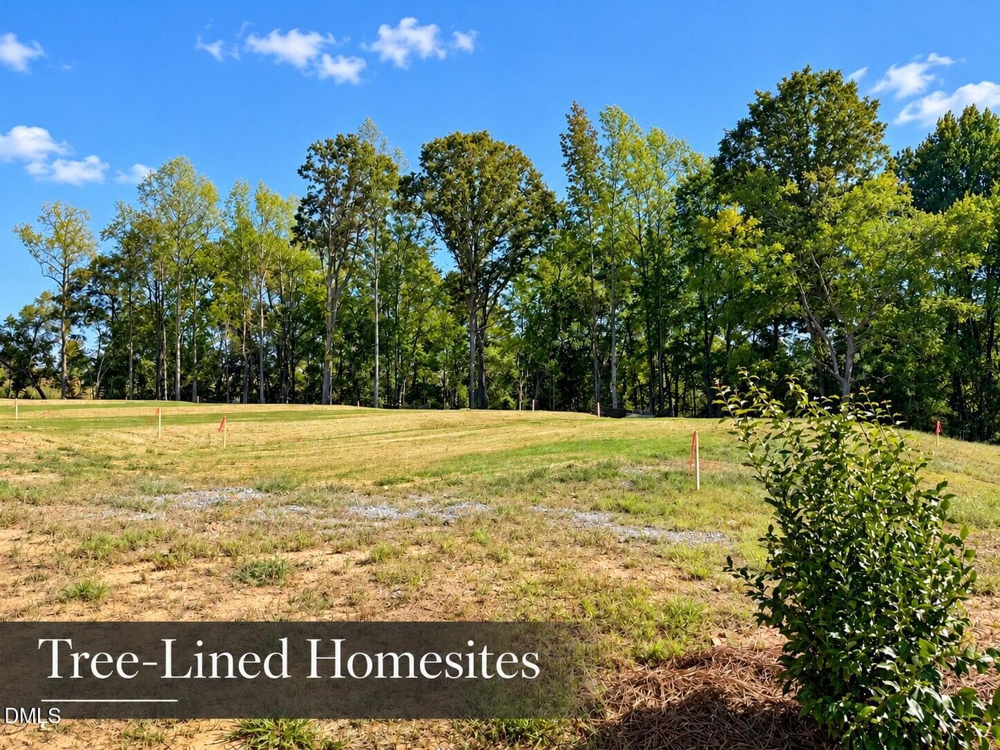 WOC Tree Lined Homesites - 276 Oriole Drive 157, Angier, NC 27501