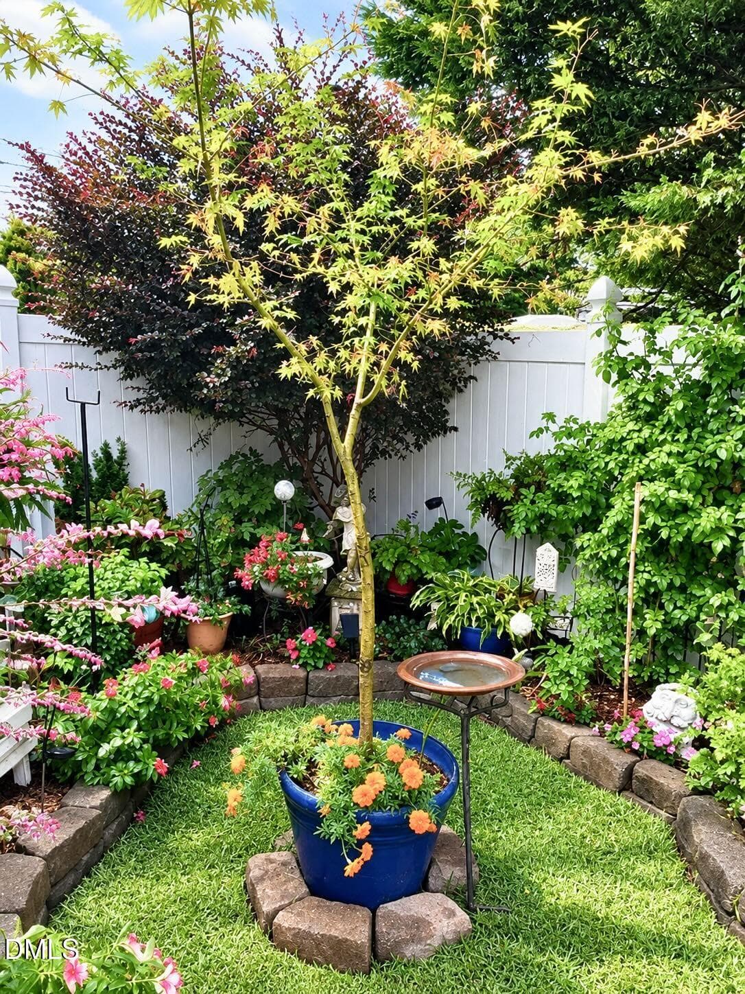 Backyard Garden - 309 Sugar Maple Avenue, Wake Forest, NC 27587, Wake Forest