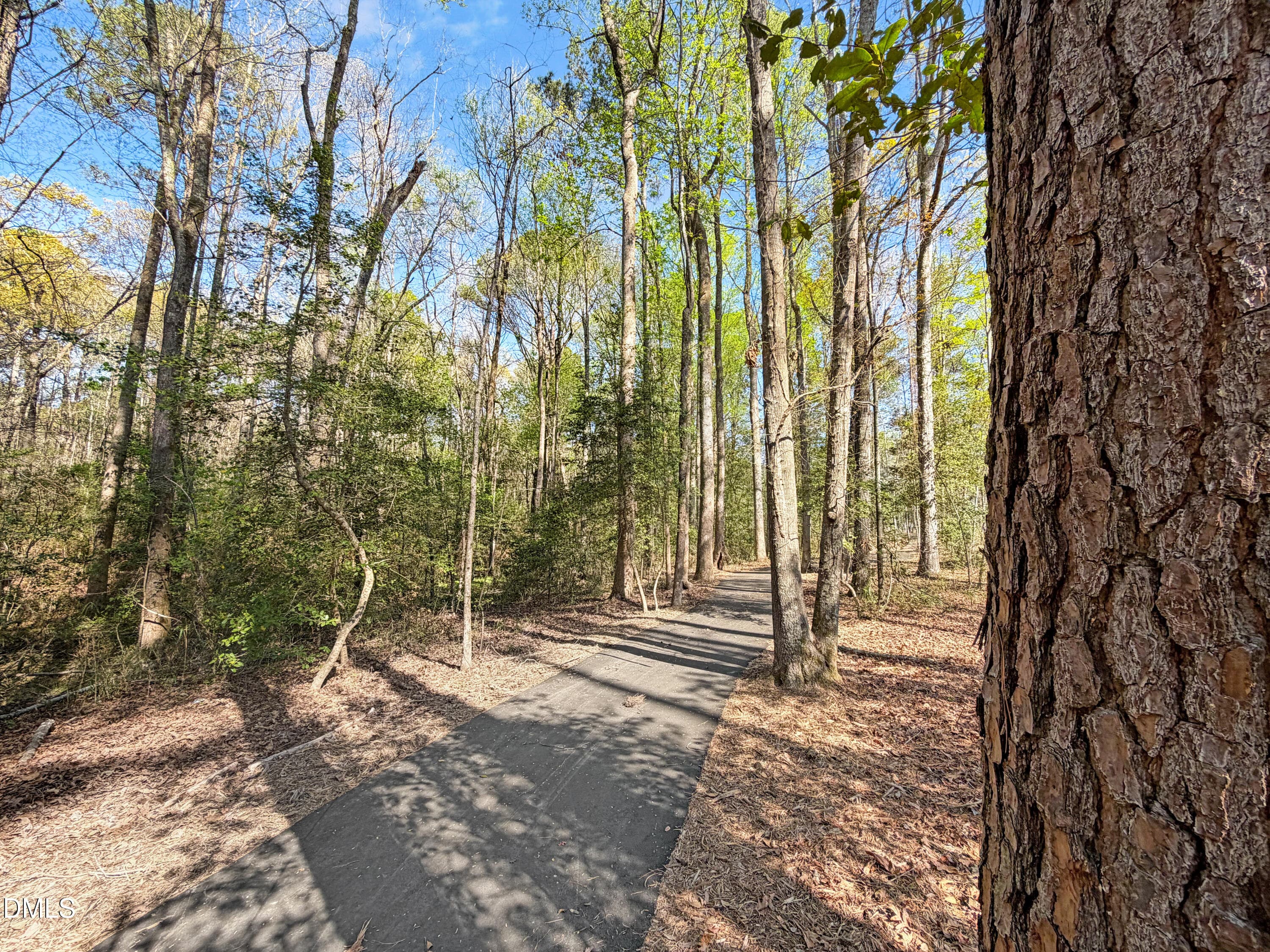 IMG_4931 - 107 Bluestone Drive, Lillington, NC 27546