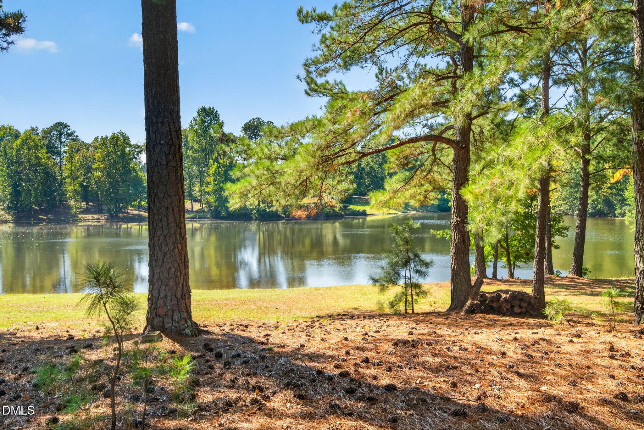 72-web-or-mls-DSC07940 - 6704 Wavcott Drive, Fuquay Varina, NC 27526, Fuquay Varina