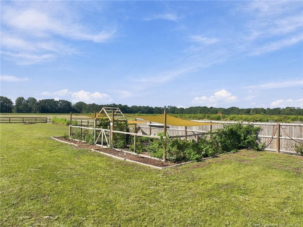 Photo 2 - 1400 Chason Road, Lumber Bridge, NC 28357