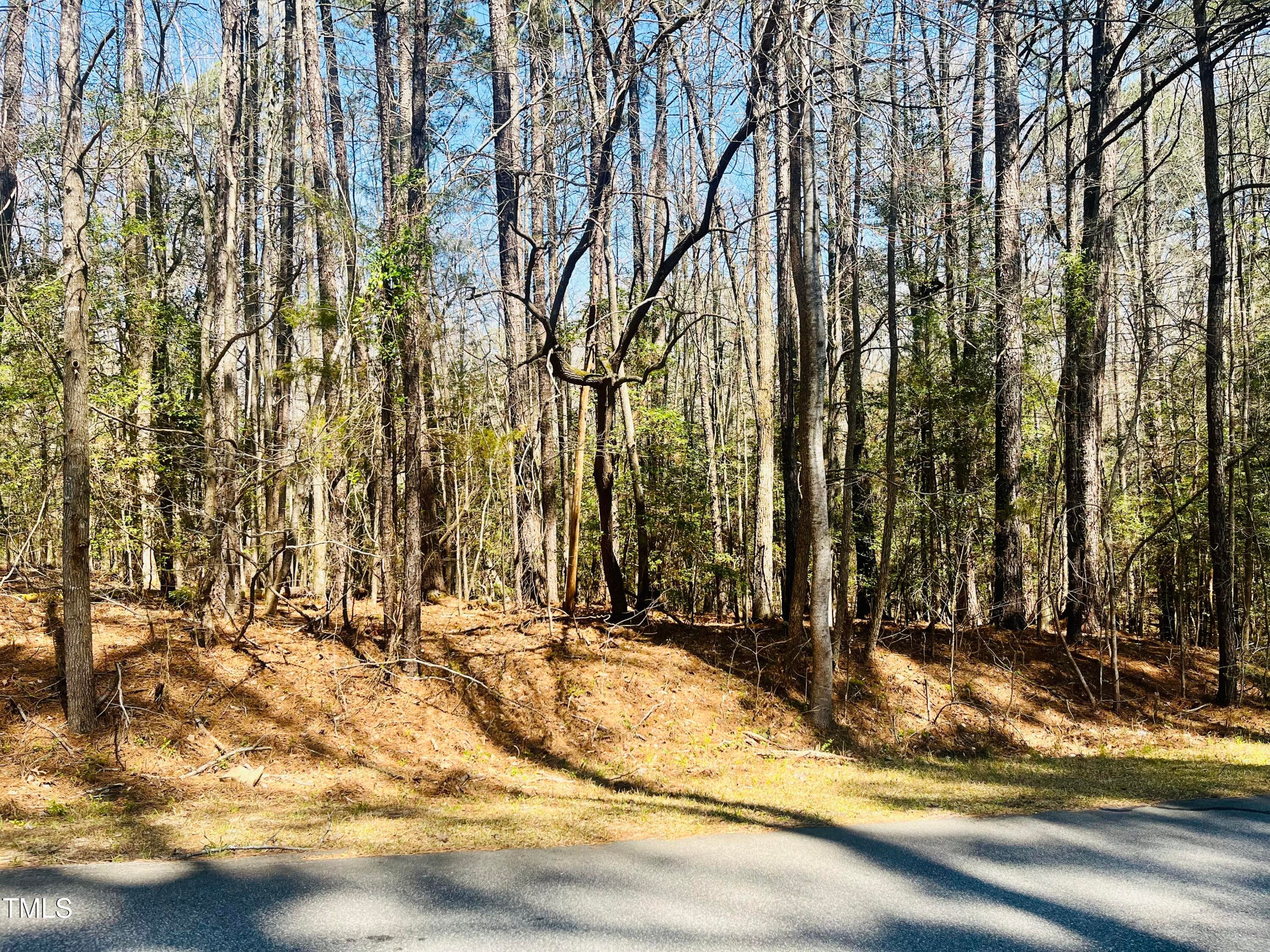 119 & 121 Osage Drive, Louisburg, NC 27549