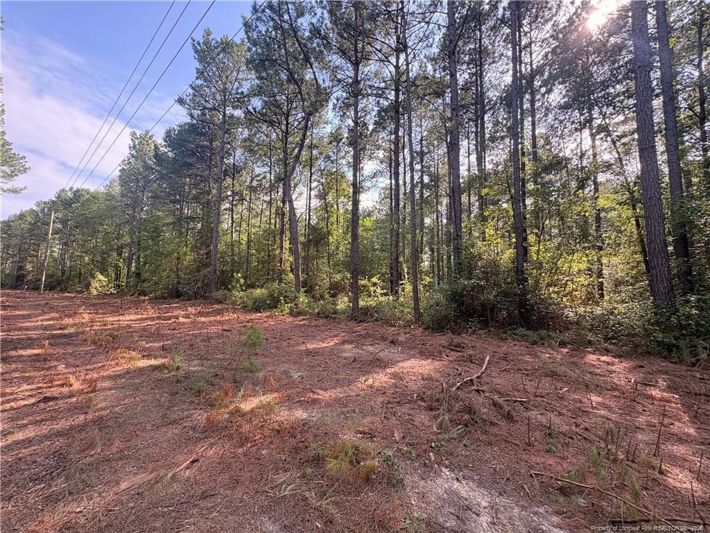 Photo 5 - Lot 1 S Plank Road, Sanford, NC 27330