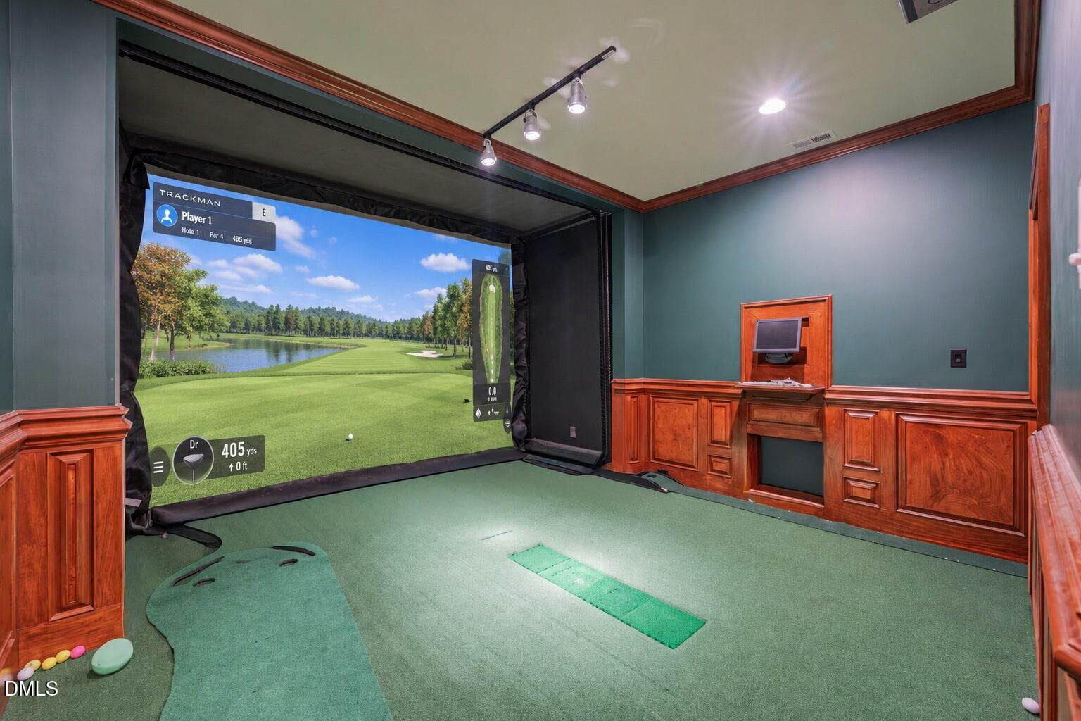 Golf Simulator - 11228 Conley Cove Court, Raleigh, NC 27613