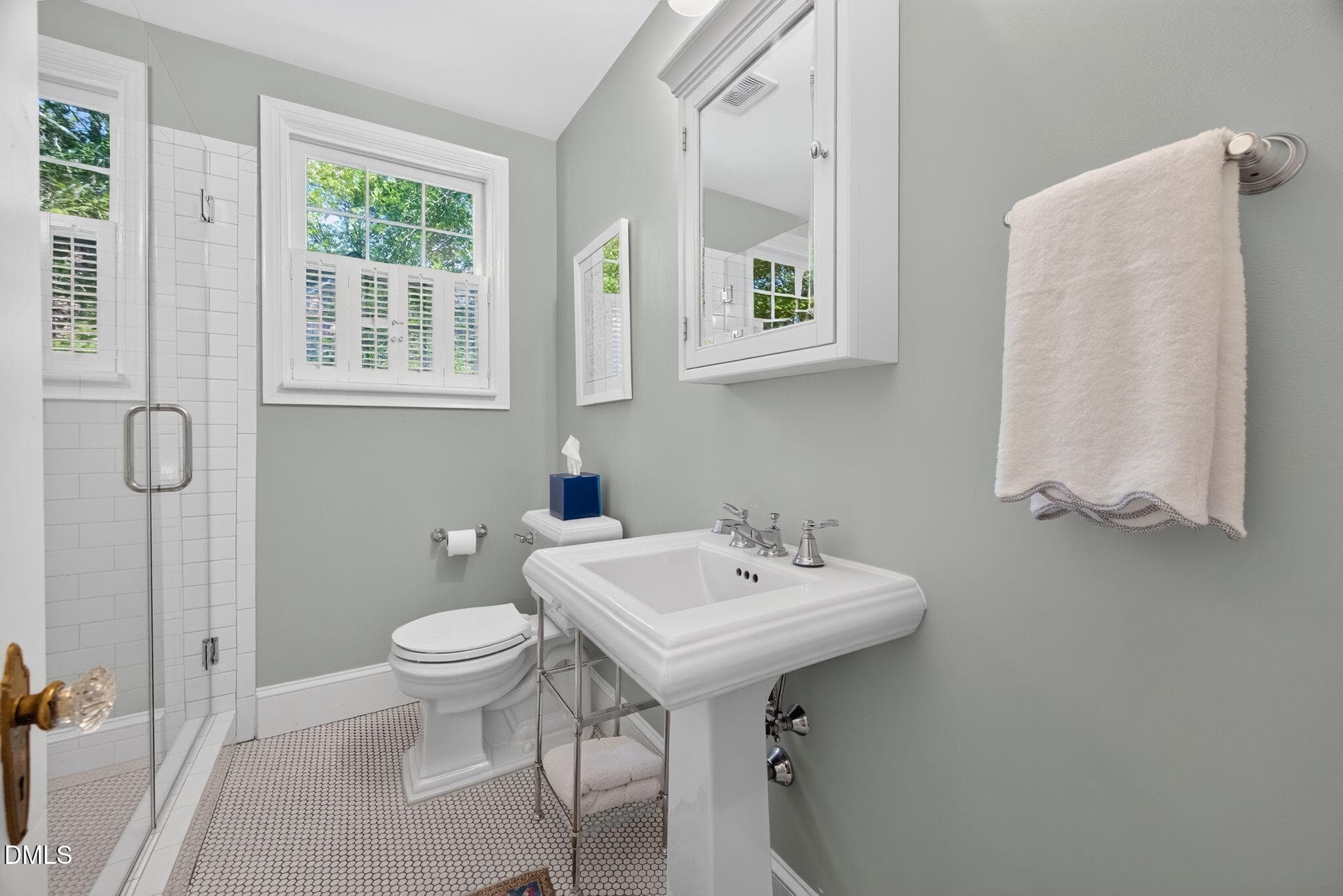 Downstairs bathroom - 201 Shepherd Street, Raleigh, NC 27607, Raleigh