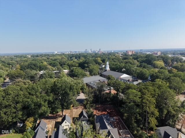 Raleigh skyline - 201 Shepherd Street, Raleigh, NC 27607, Raleigh