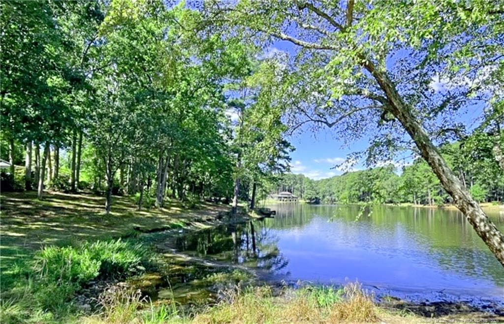 Photo 4 - 1904 Lord Ashley Drive, Sanford, NC 27330