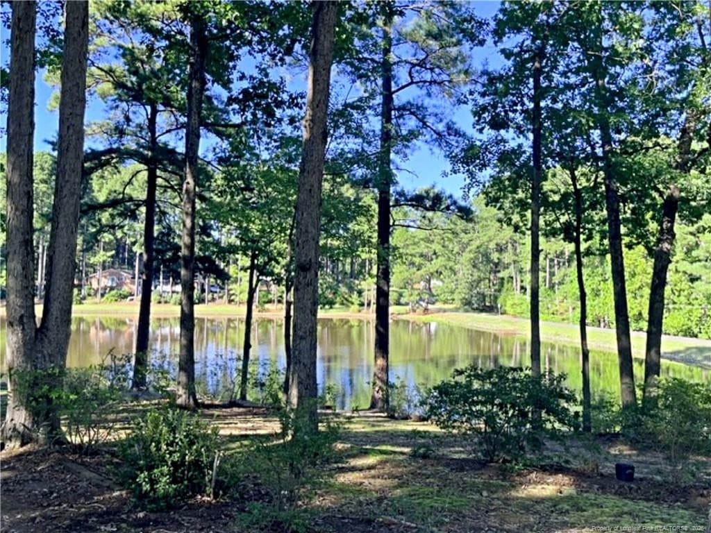 Photo 36 - 1904 Lord Ashley Drive, Sanford, NC 27330
