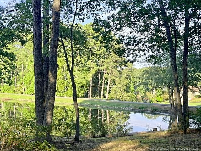 Photo 37 - 1904 Lord Ashley Drive, Sanford, NC 27330