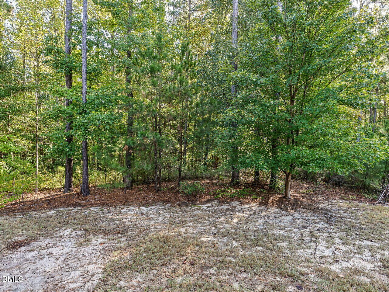 Private Wooded Backyard - 433 Belle Gate Place, Cary, NC 27519