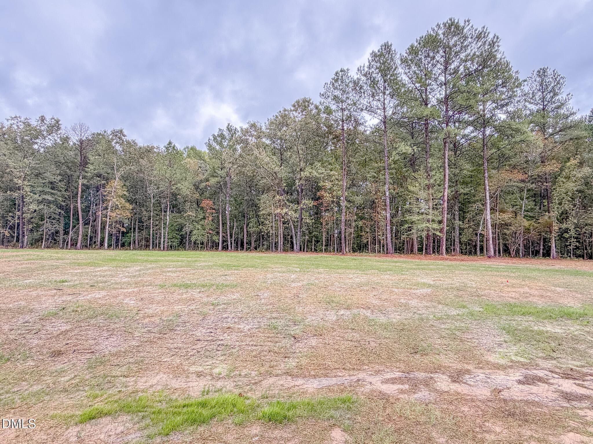 IMG_5472 - 129 Bluestone Drive, Lillington, NC 27546