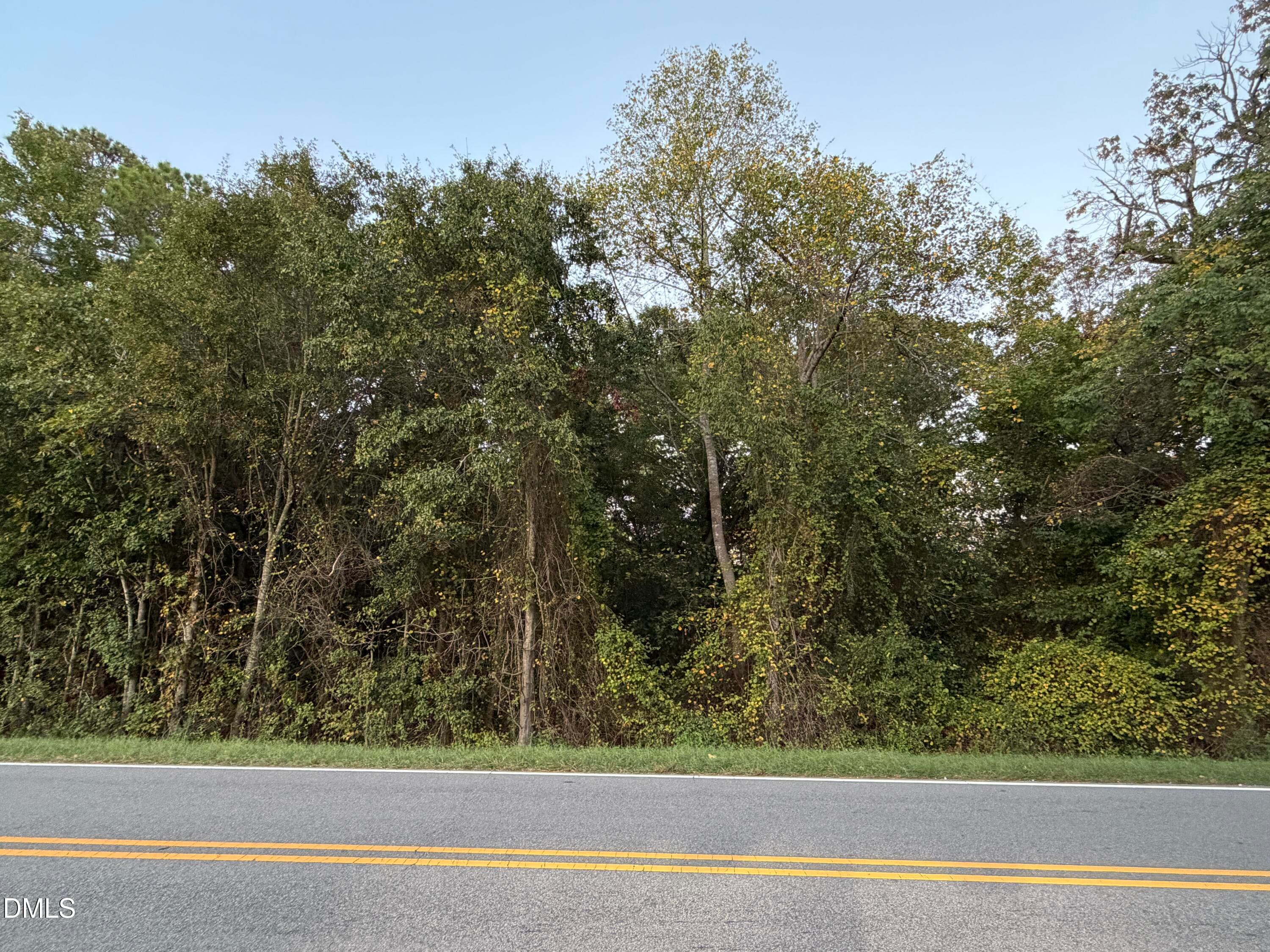 Dense natural privacy buffer - 0 Fixit Shop Road, Wake Forest, NC 27587