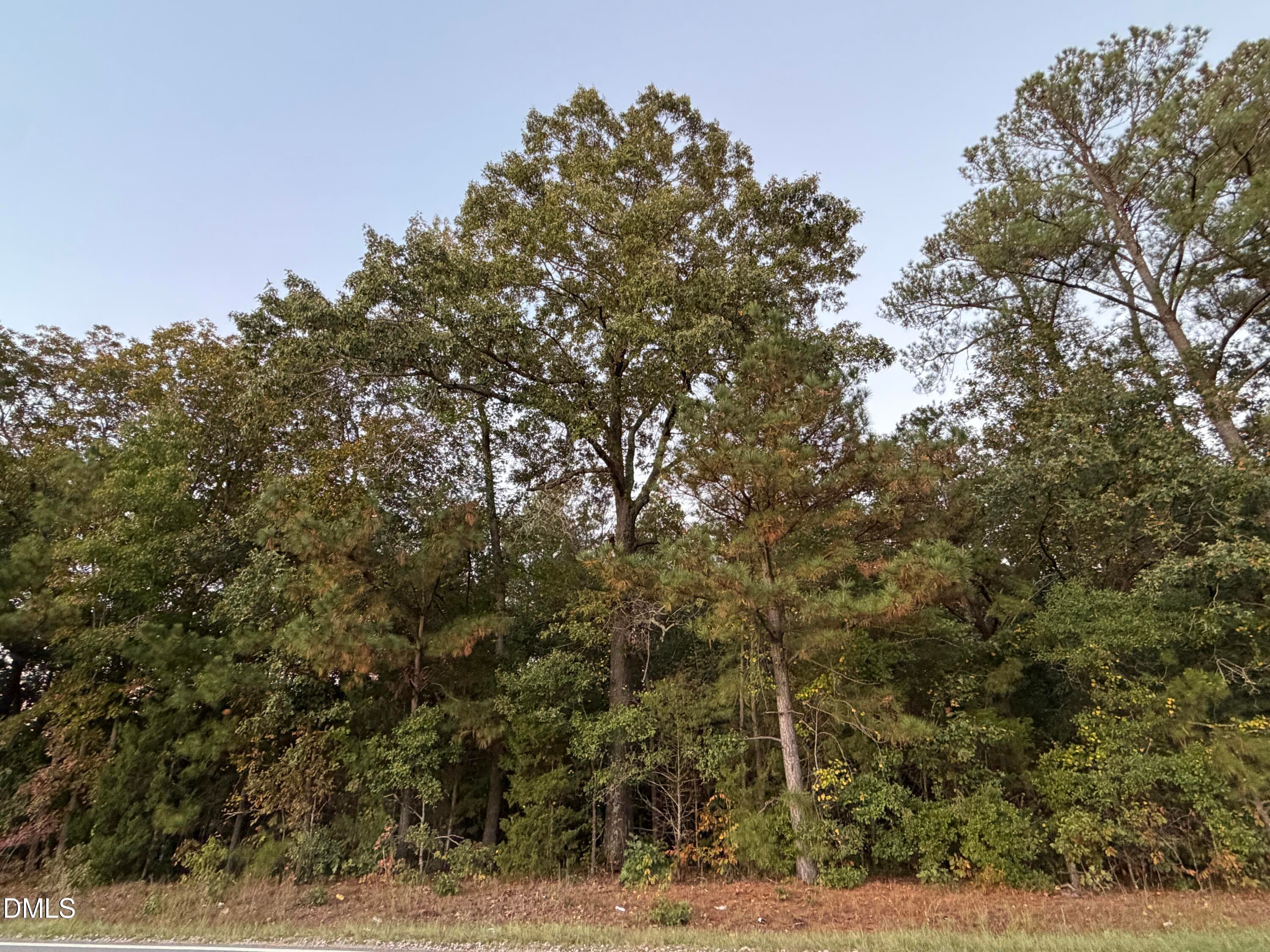 Mature hardwoods and pines canopy - 0 Fixit Shop Road, Wake Forest, NC 27587