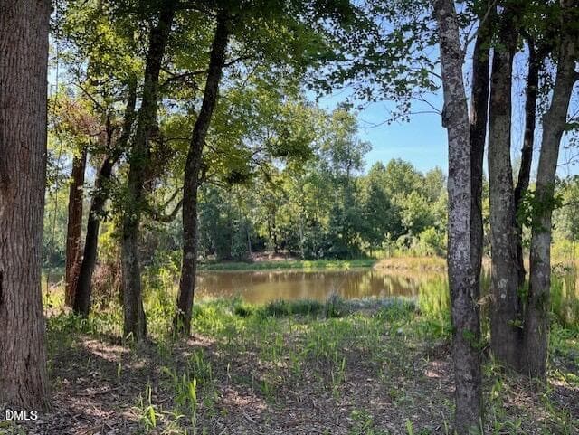 Pool 4 - 771 E Clydes Point Way, Wendell, NC 27591