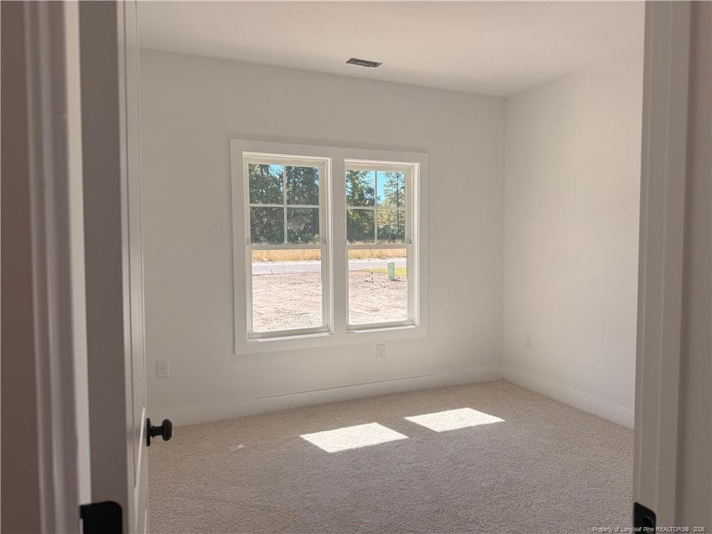 Photo 4 - 209 Ainsdale Warren Court, Raeford, NC 28376