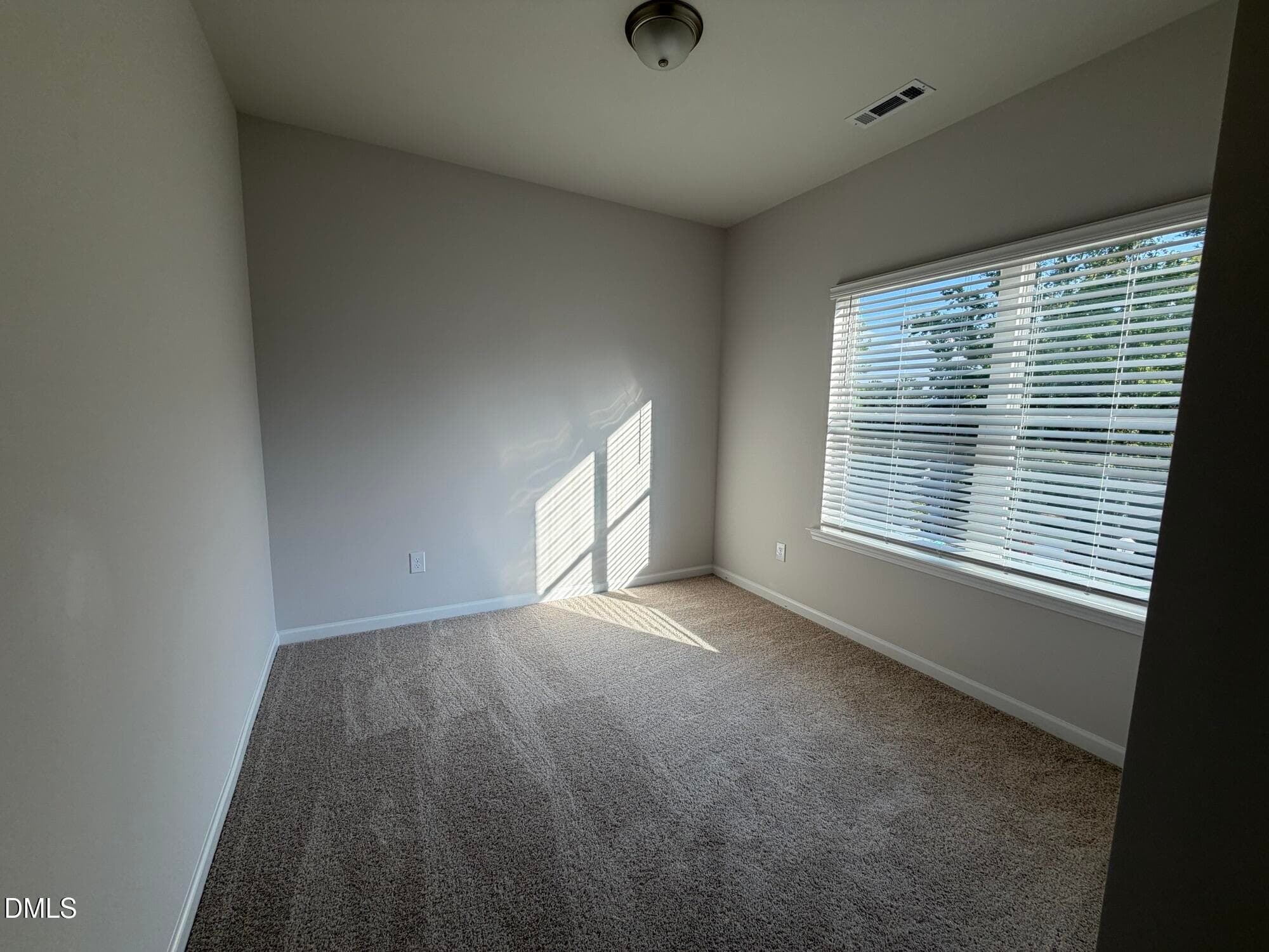 IMG_9452 - 700 Orchard Vista Circle, Raleigh, NC 27606