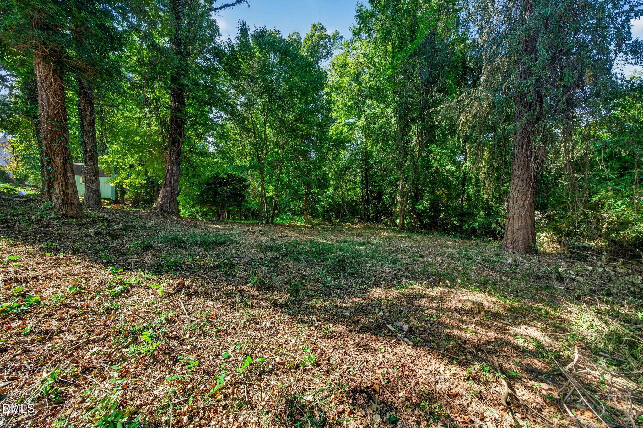 60-web-or-mls-1513 N King Charles Rd-21 - 1513 N King Charles Road, Raleigh, NC 27610