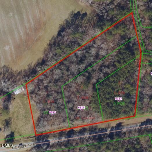 6093 E Carolina 42 Highway, Selma, NC 27576