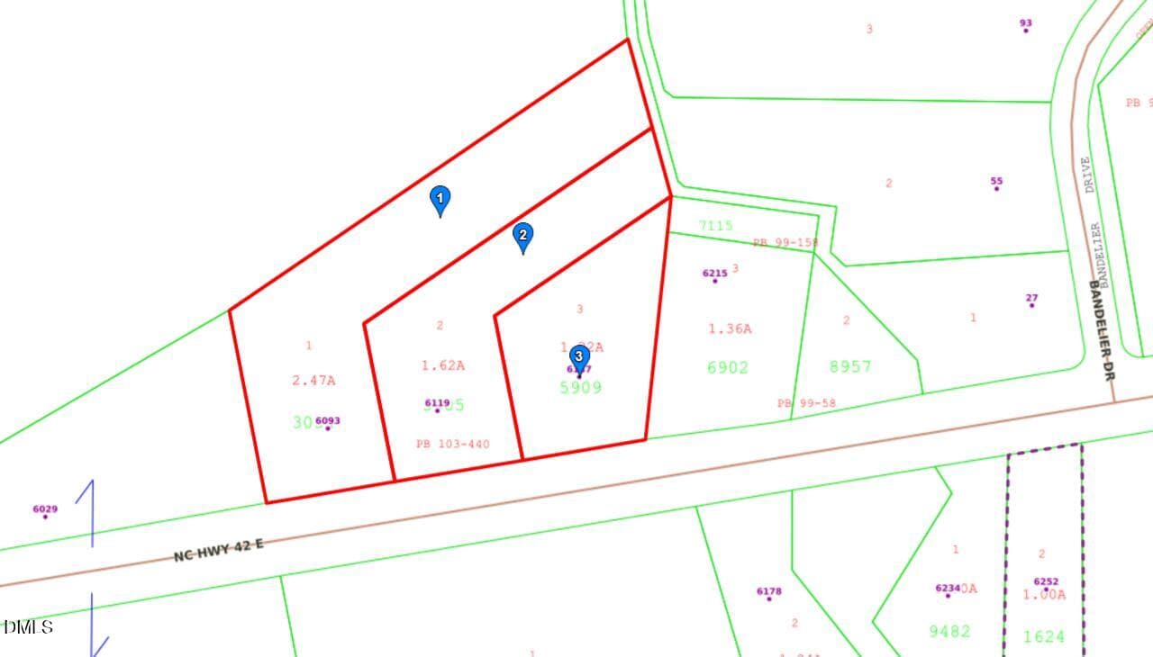 Earp Farm Tract 2 GIS Photo Zoomed In - 6093 E Carolina 42 Highway, Selma, NC 27576
