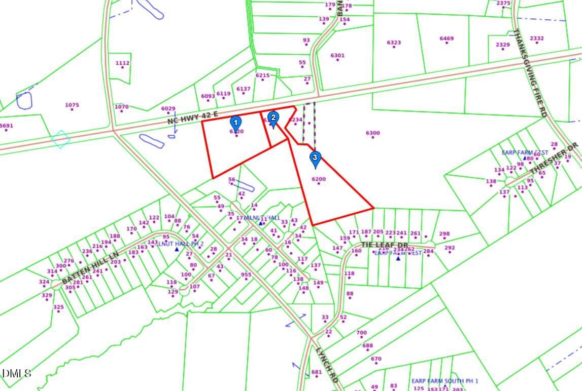 Earp Farm Tract 3 GIS Photo - 6120 E Carolina 42, Selma, NC 27576