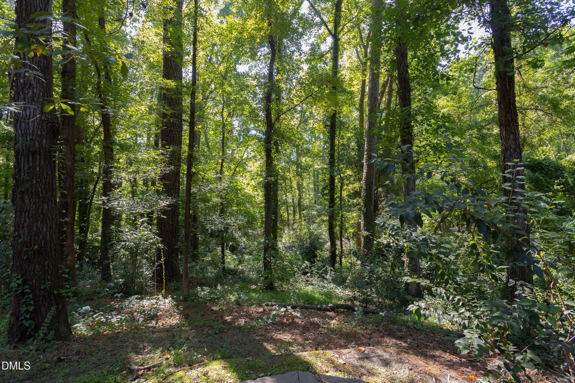 3412_SHERIDAN_MLS-65 - 3412 Sheridan Drive, Durham, NC 27707