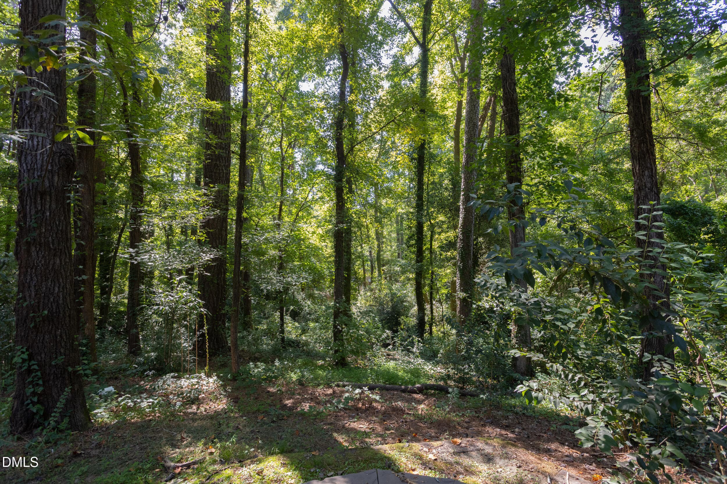 3412_SHERIDAN_MLS-65 - 3412 Sheridan Drive, Durham, NC 27707