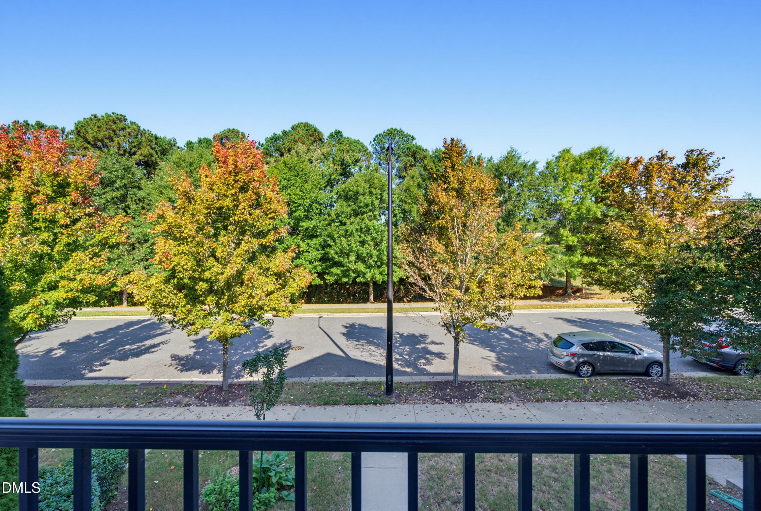 DSC06378 - 9322 Wooden Road, Raleigh, NC 27617