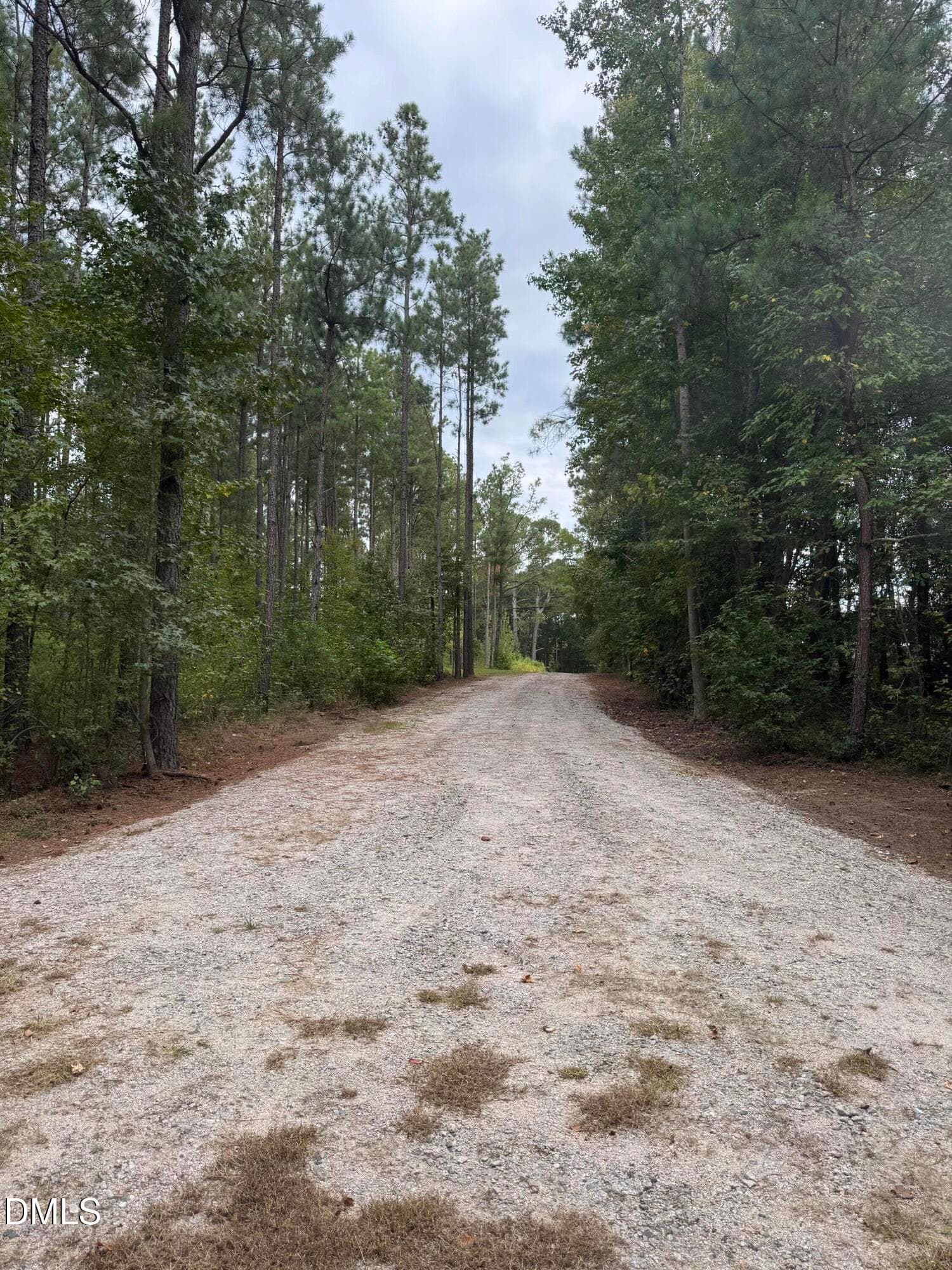IMG_2413 - 3829 Standing Pine Lane, Zebulon, NC 27597