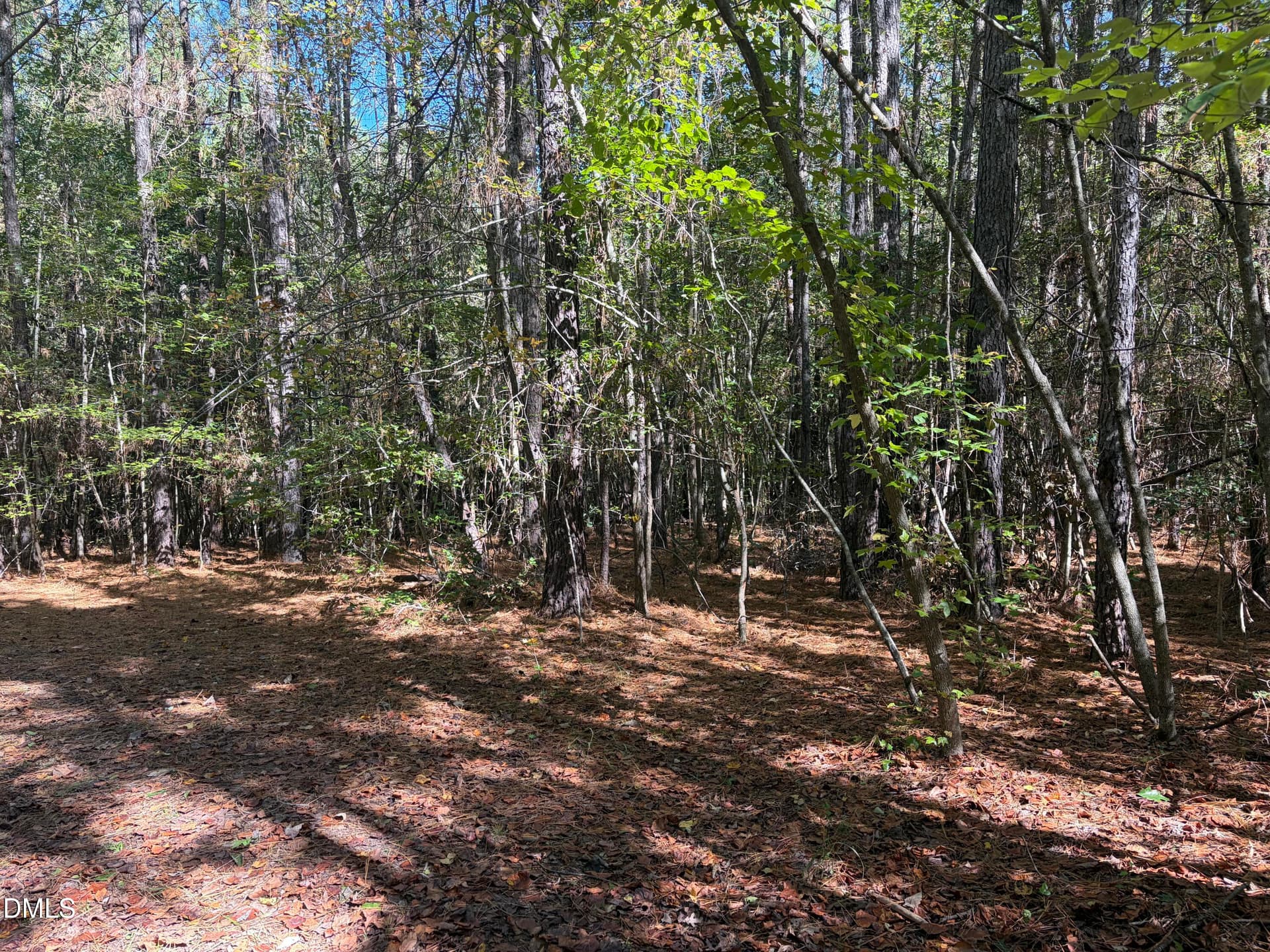 Perfect Homesite - 3829 Standing Pine Lane, Zebulon, NC 27597