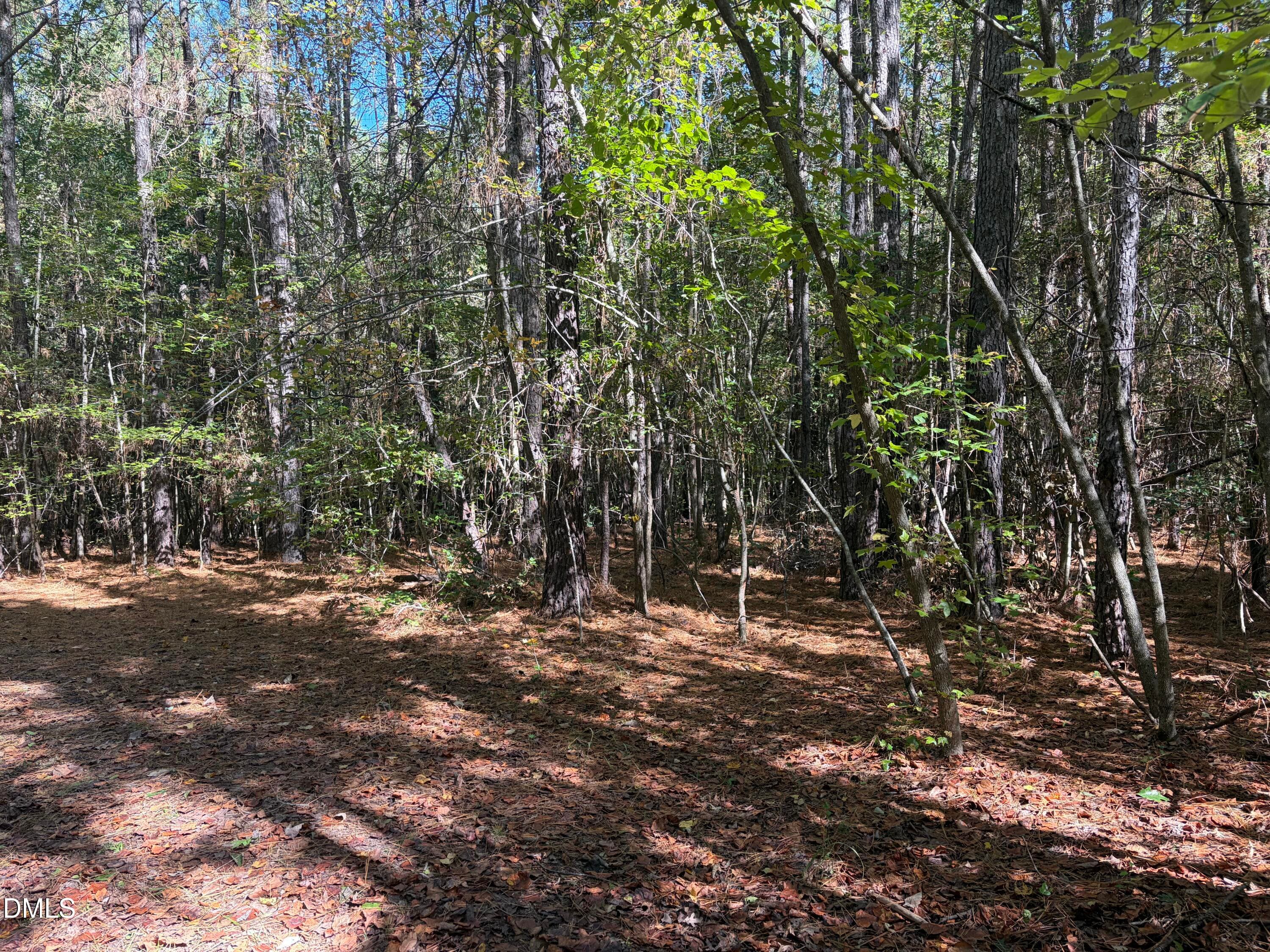 Perfect Homesite - 3829 Standing Pine Lane, Zebulon, NC 27597