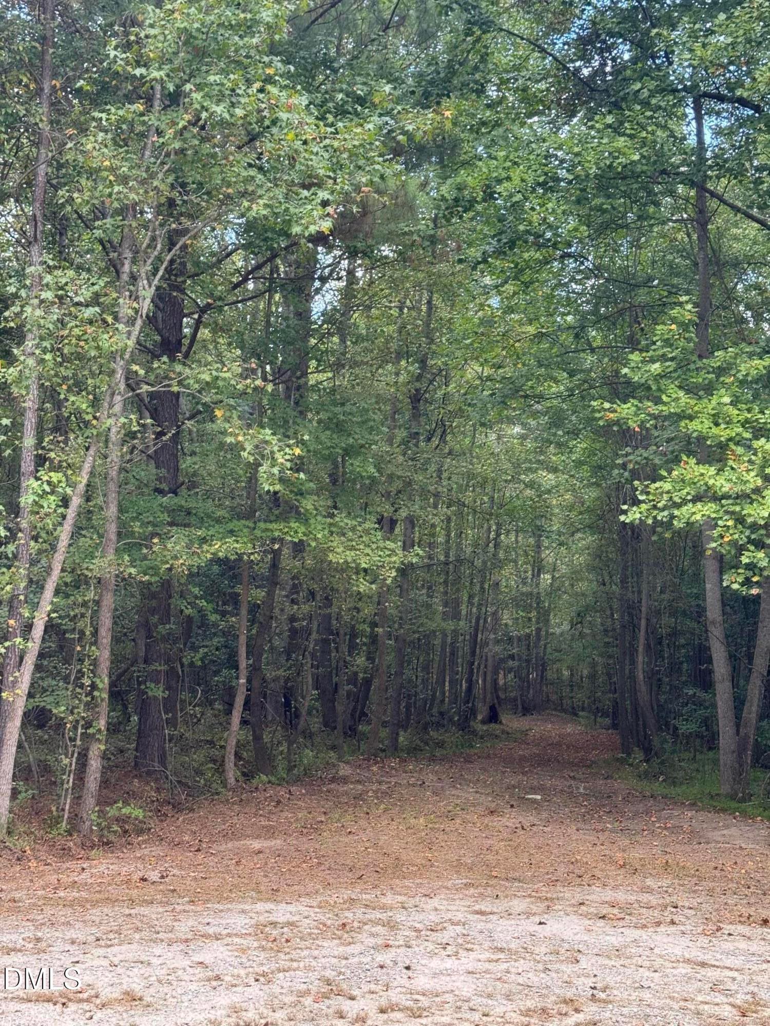 IMG_2417 - 3829 Standing Pine Lane, Zebulon, NC 27597