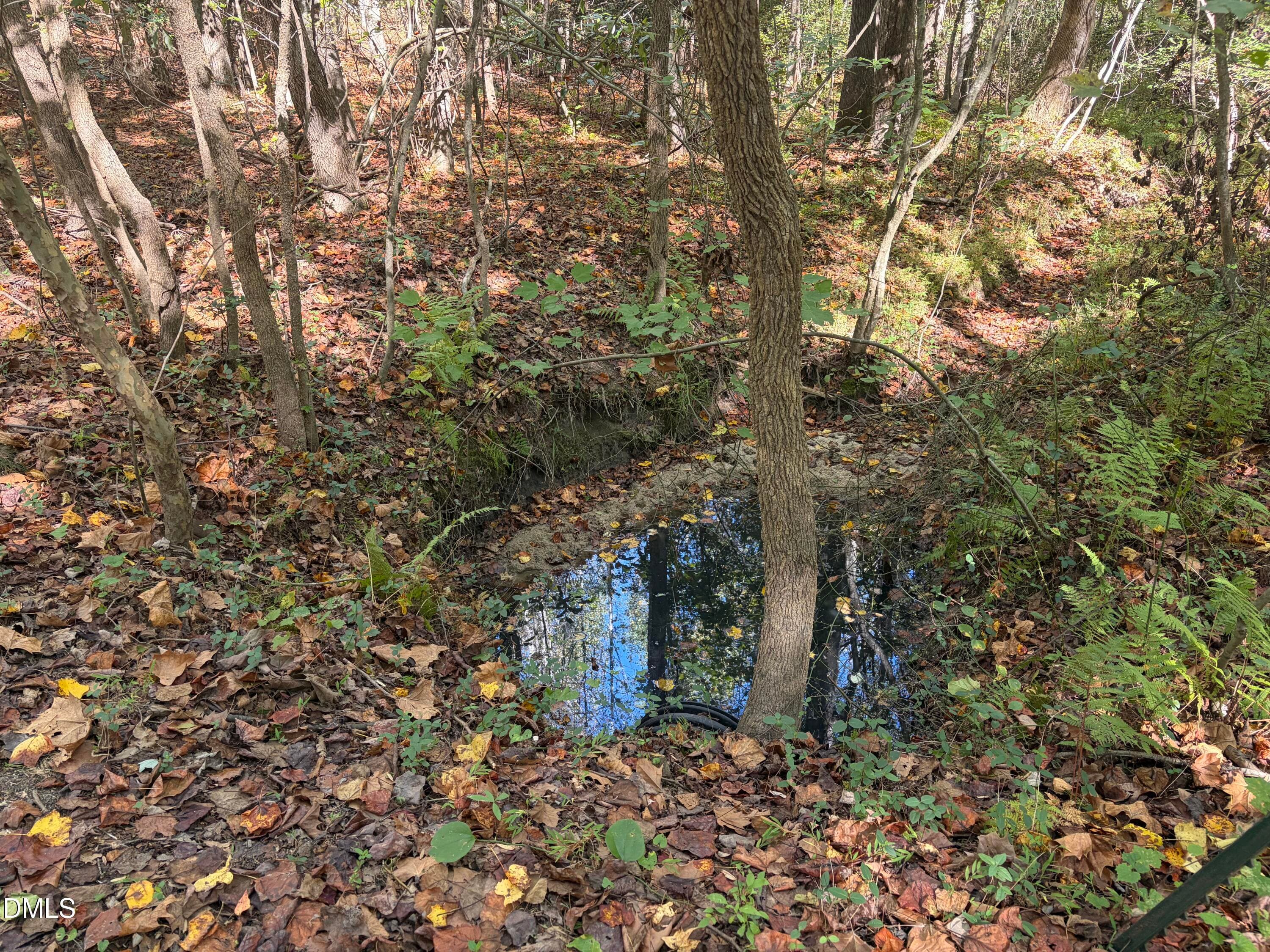 Stream - 3829 Standing Pine Lane, Zebulon, NC 27597