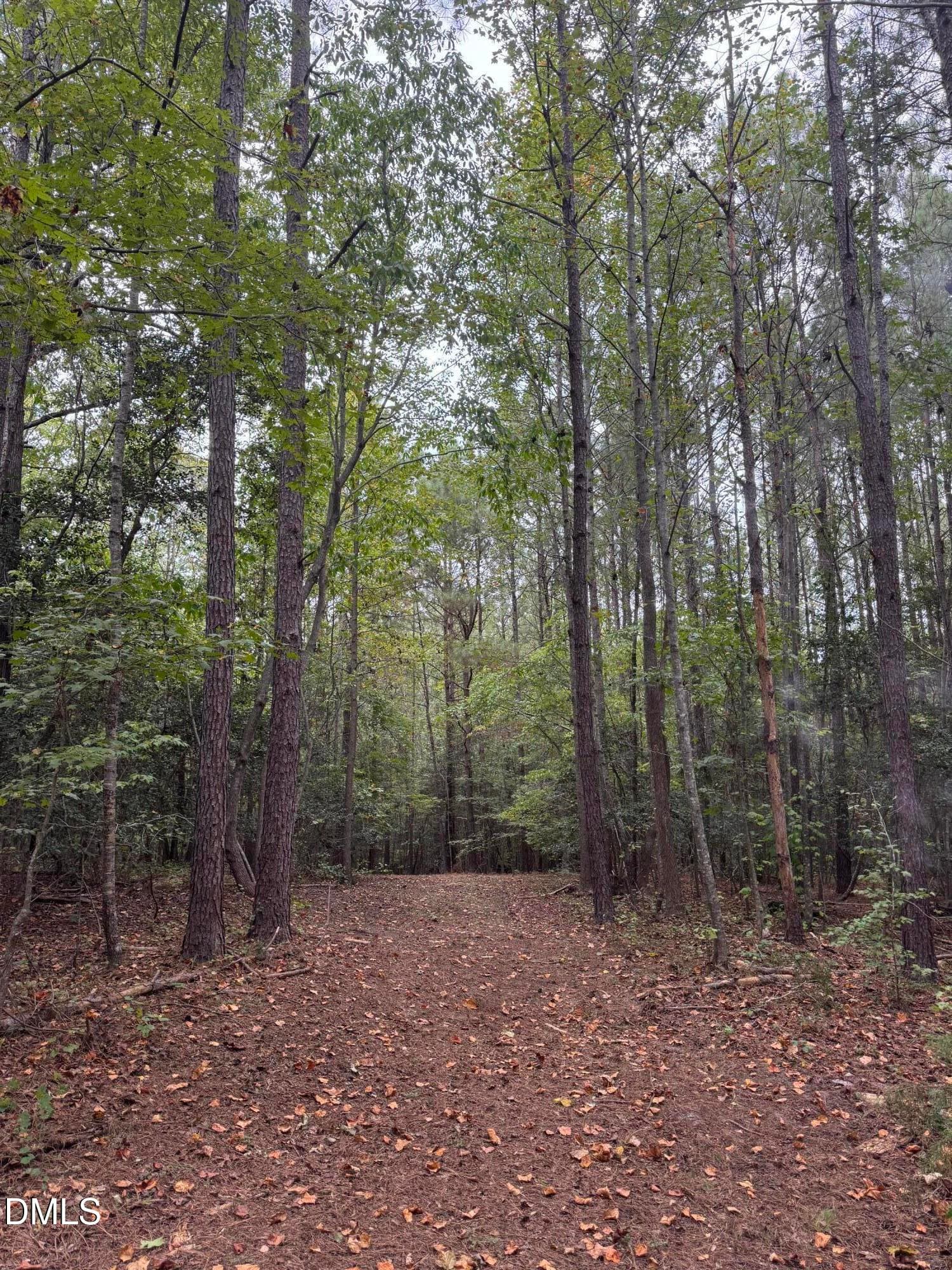 IMG_2407 - 3829 Standing Pine Lane, Zebulon, NC 27597