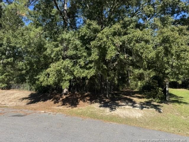 Photo 2 - 5479 Falling Waters Drive, Hope Mills, NC 28348