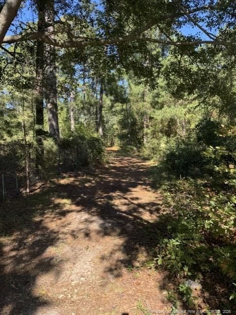 Photo 3 - 5479 Falling Waters Drive, Hope Mills, NC 28348